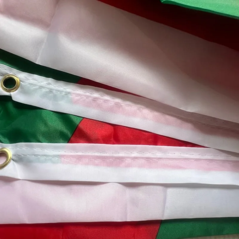 Bandera YIXIN 90x150 CM Euskal Herria Bandera Basca Decoración Bandera Basque doble cara impresa poliéster colgante España Ikurrin español - imagen 5