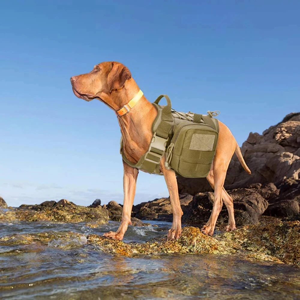 Chalecos tácticos para perros, ropa para perros, arnés de carga de entrenamiento, chaleco Molle de rescate para perros, arnés con bolsa Molle - imagen 4