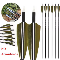 Flechas de carbono para tiro con arco pluma pavo espina media
