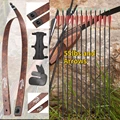 55lbs and Arrows
