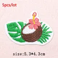PE17010CT