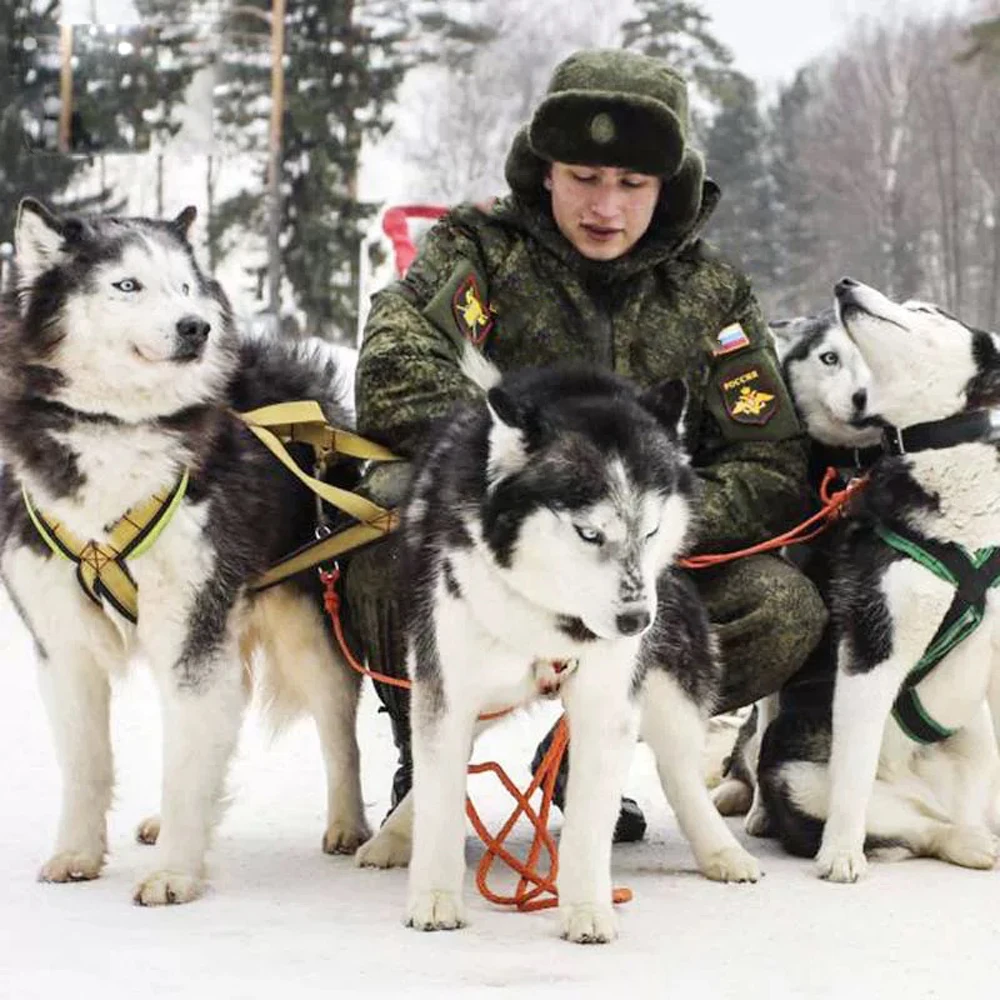 Traje cálido para deportes de caza al aire libre, acolchado de algodón, sistema ruso VKBO, traje de camuflaje LV8 EMR - imagen 3