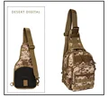 DSDG