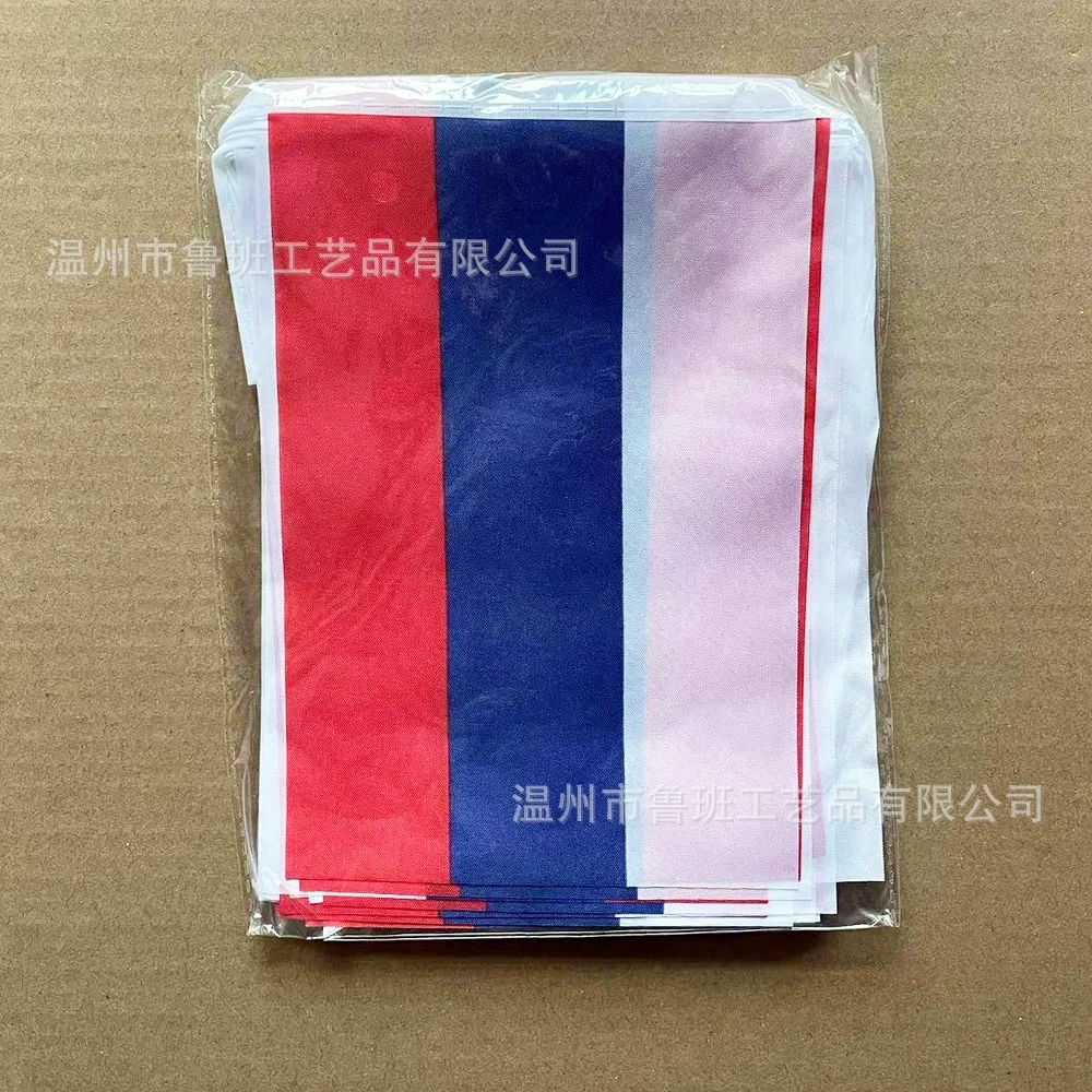BANDERA DE SKY 14x21 cm banderines de Rusia banderines 20 unids/lote pancarta de cuerda colgante para decoración del hogar - imagen 2