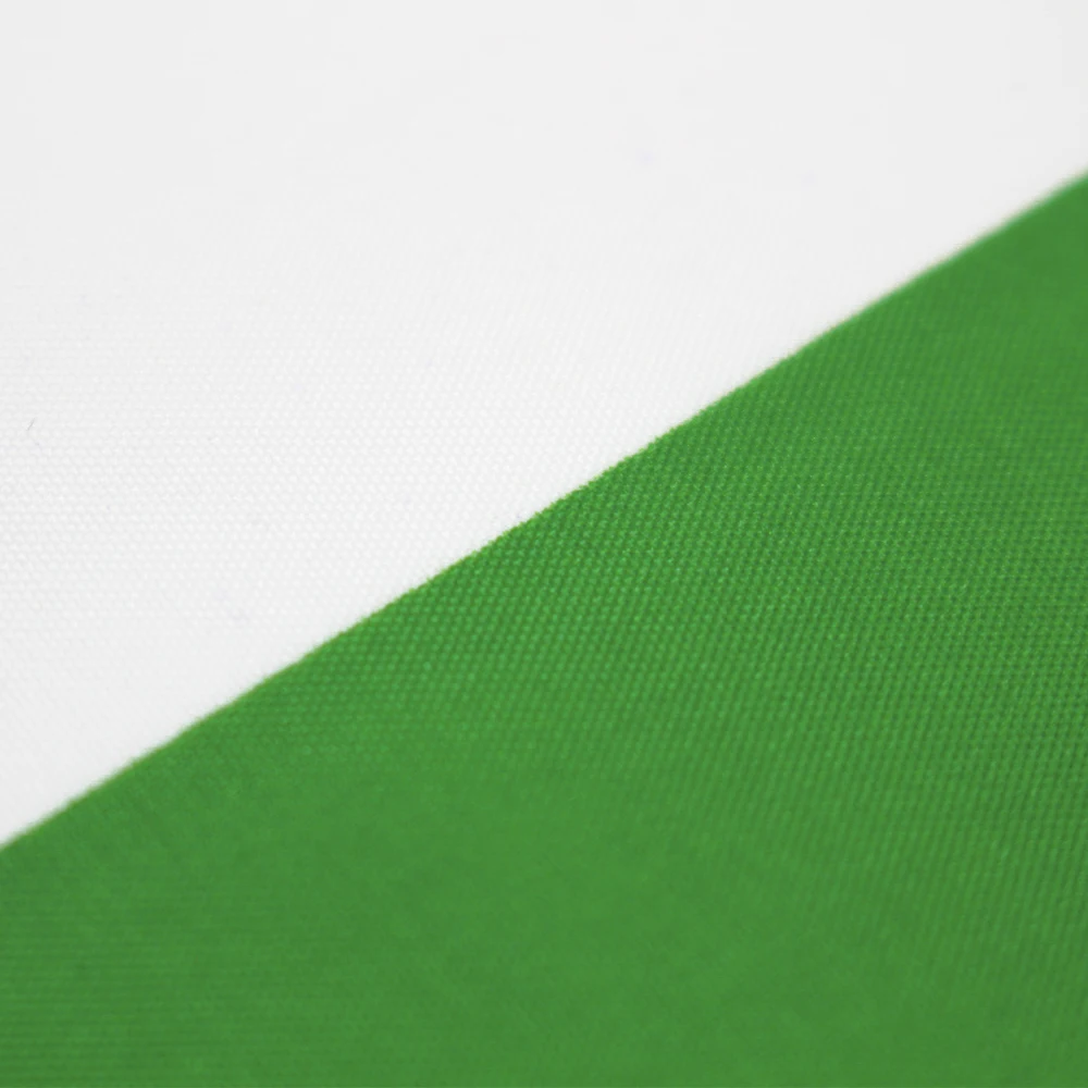 FLAGLINK 90x150 cm Texas 1824 ALAMO Bandera de batalla histórica para decoración - imagen 4