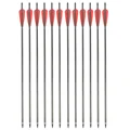 12pcs only arrows