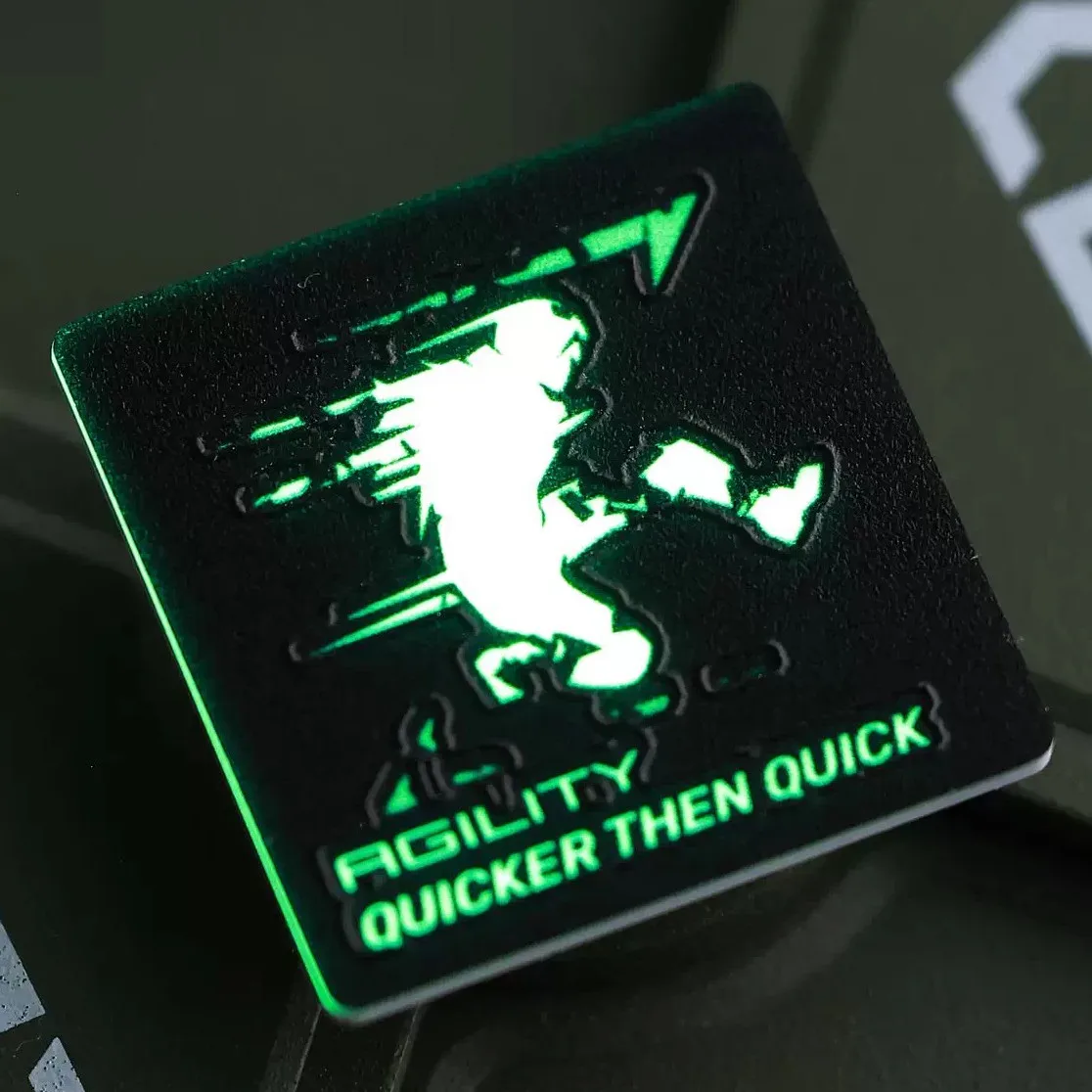 Parche luminoso de la serie Shame Game AGILITY SHADOW KILL FAR REACH THIRSTY, brazalete táctico que brilla en la oscuridad para decoración de bolsas de ropa - imagen 5