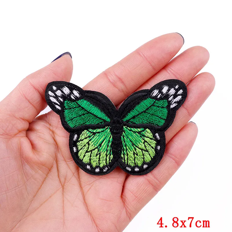 big butterfly5