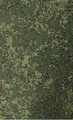 EMR