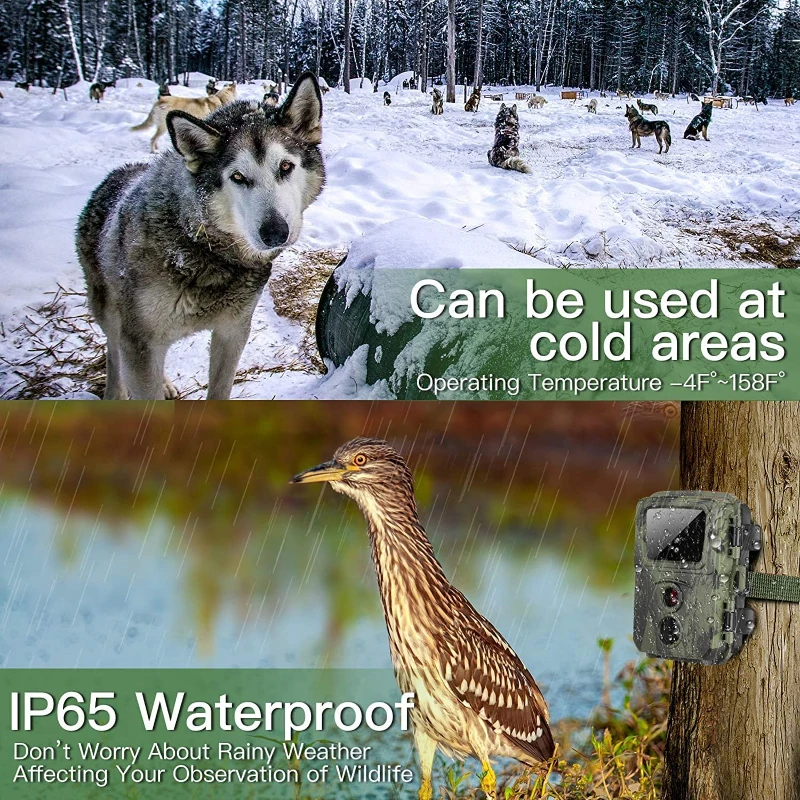 Minicámara de rastreo para caza, videocámara impermeable con visión nocturna, activada por movimiento, trampa de monitoreo de Vida Silvestre, 20MP, 1080P, paquete de 2 - imagen 5