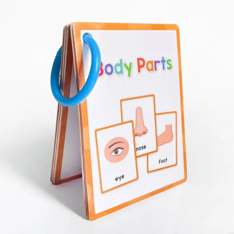 Tarjeta estudio para niños Flashcards vocabulario inglés educativo 11x8 para ayuda enseñanza en salón - imagen 5