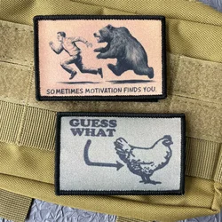 Parche táctico oso gancho bucle para ropa y mochila