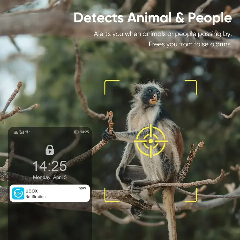 Cámara Solar 4G red SIM inalámbrica al aire libre 2K HD noche a todo Color detección de seguridad humana/animal cámara de vigilancia de vida silvestre - imagen 5