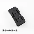 Molle-4 groups