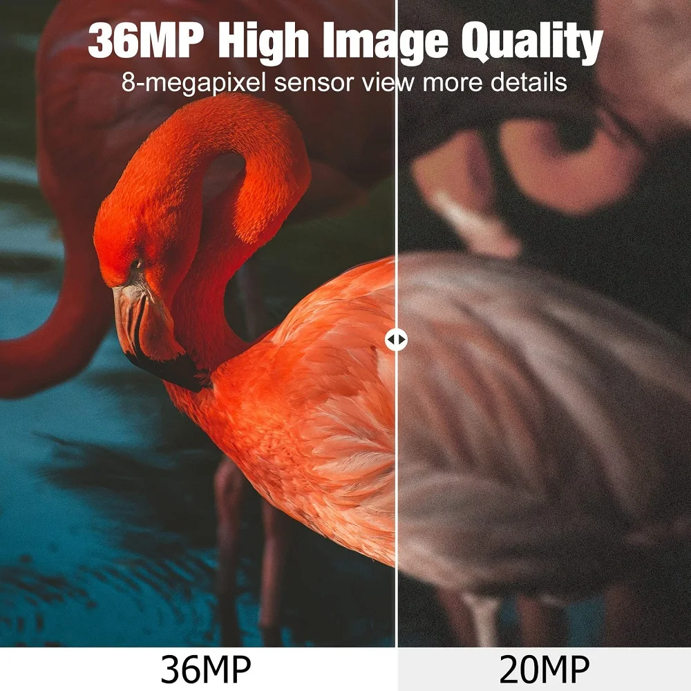 Cámara de rastreo con Control por aplicación de vídeo en vivo 4K para exteriores, servicio en la nube, cámaras de caza de 30MP, móvil 4G, IP66, visión nocturna de vida silvestre - imagen 5