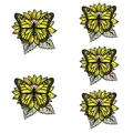 PE13487CT