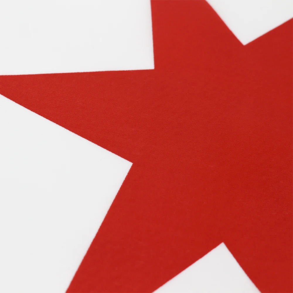 90X150cm Bandera del Estado de EE. UU. Chicago Estampado de poliéster Decoración Banner Tapiz FLAGLAND - imagen 4