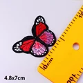 big butterfly6