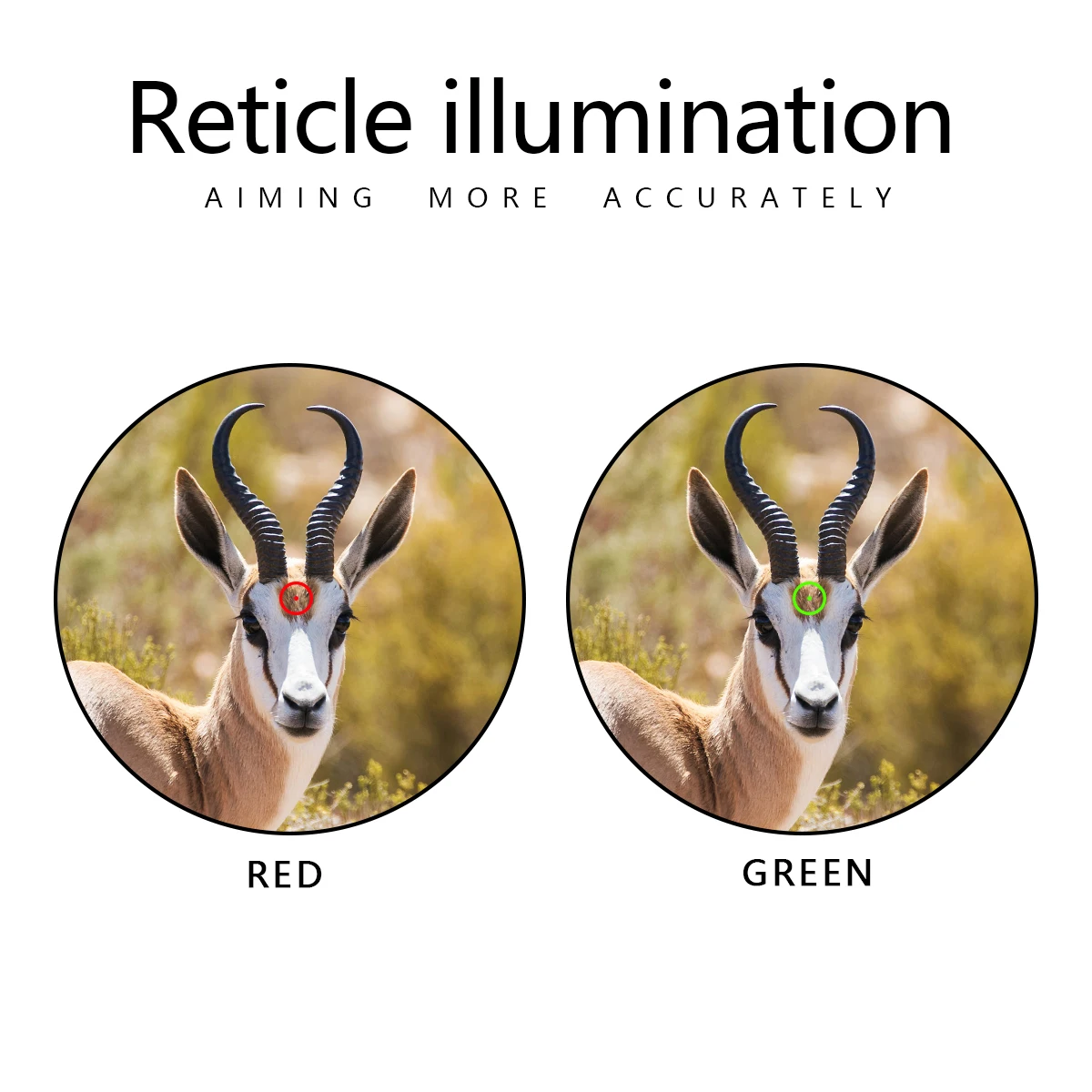Mira Táctica de Punto Rojo 1x28 con Fibra Óptica Roja y Verde, Ligera, para Caza, Compatible con Riel de Escopeta - imagen 3