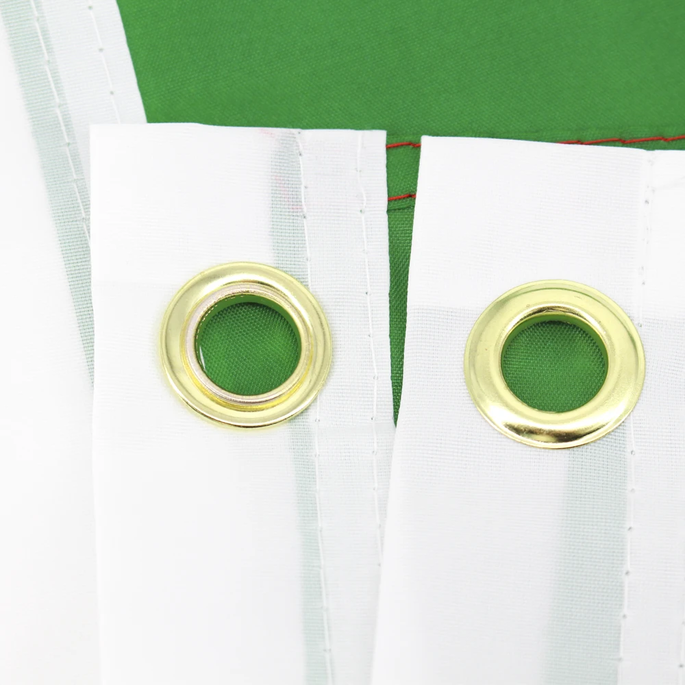 FLAGLINK 90x150 cm Texas 1824 ALAMO Bandera de batalla histórica para decoración - imagen 5