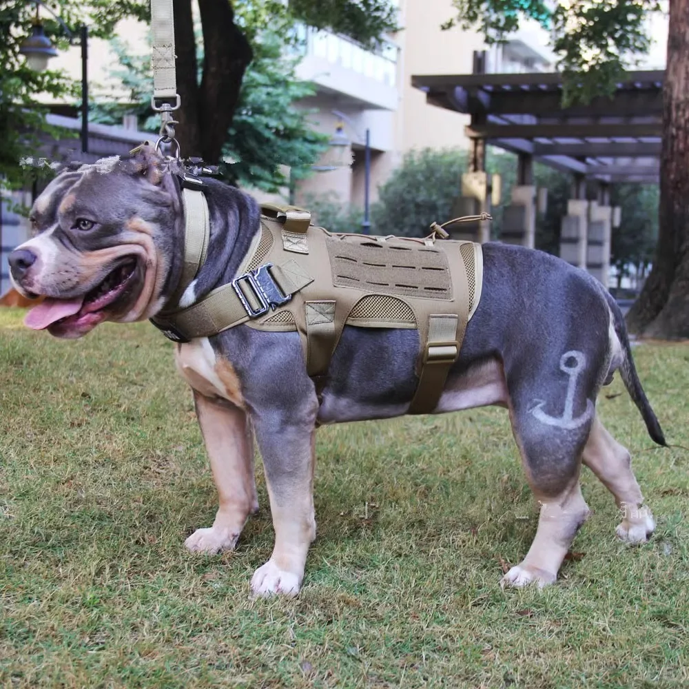 Chaleco táctico 1000D para perros, chaleco protector de hombro ajustable para caza al aire libre, equipo de combate de liberación rápida, entrenamiento para cachorros y mascotas - imagen 3