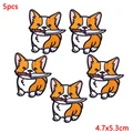 PE6619CT