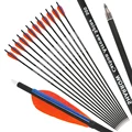 12pcs Orange