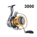 3000
