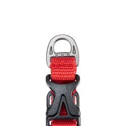 Correa de nailon para perro con collar ajustable y hebilla rapida