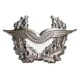 Air Force Hat Badge