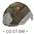 CO-17-DW