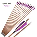 Spine 340--Purple