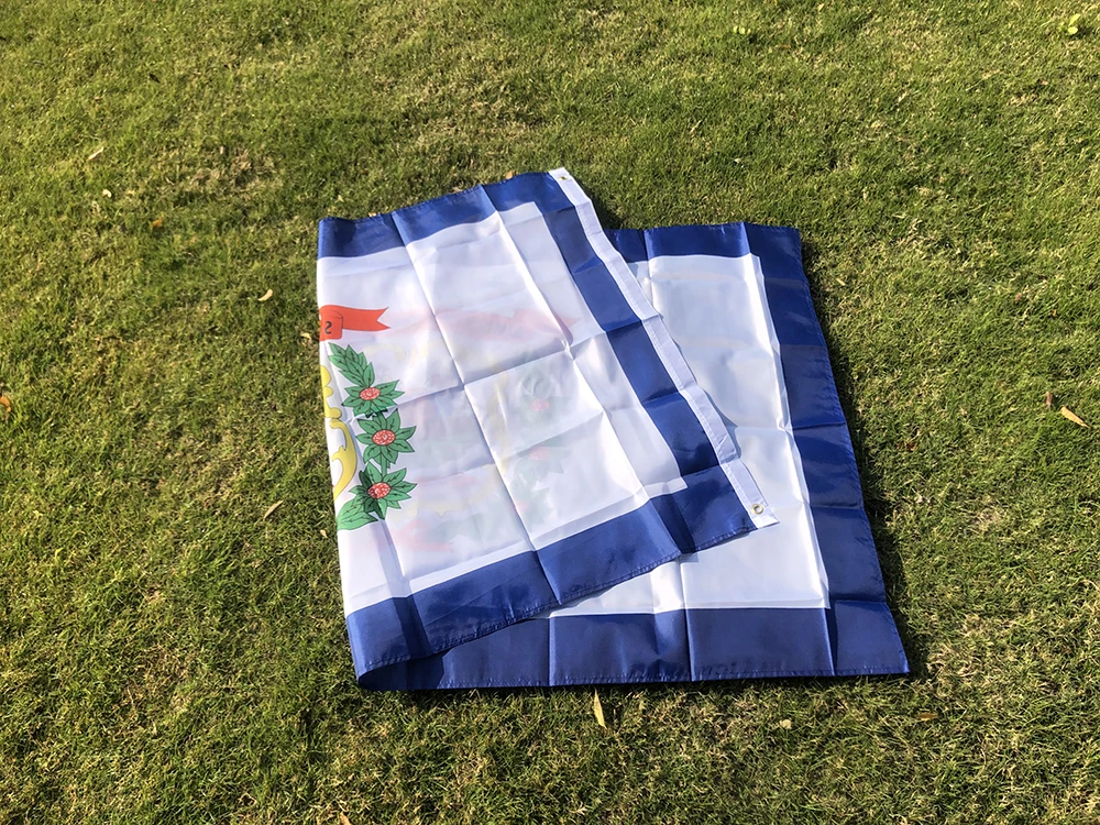 SKY FLAG Bandera de Virginia Occidental 90x150cm Bandera de Virginia Occidental de EE. UU. 3x5 pies doble penetración poliéster colgante La bandera del Estado de EE. UU. - imagen 5