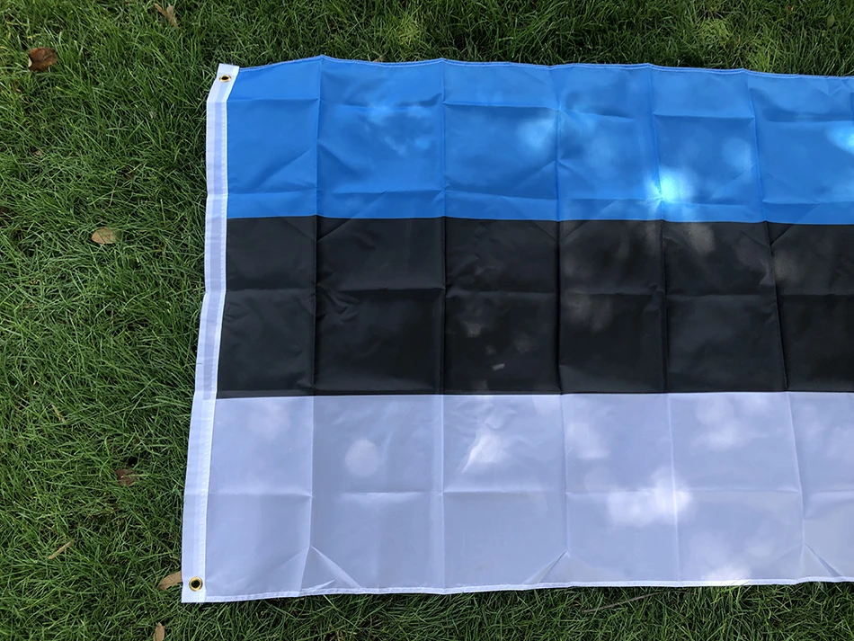 SKY FLAG Bandera de Estonia Banner 90*150 cm poliéster de alta calidad Colgante Bandera nacional de Estonia para decoración y actividad del hogar - imagen 3