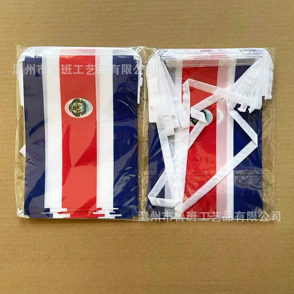 Banderines de Costa Rica con bandera de esquí, 14x21cm, 20 unids/lote, banderas de cuerda de Costa Rica, banderín, pancarta, fiesta, vacaciones para decoración - imagen 4