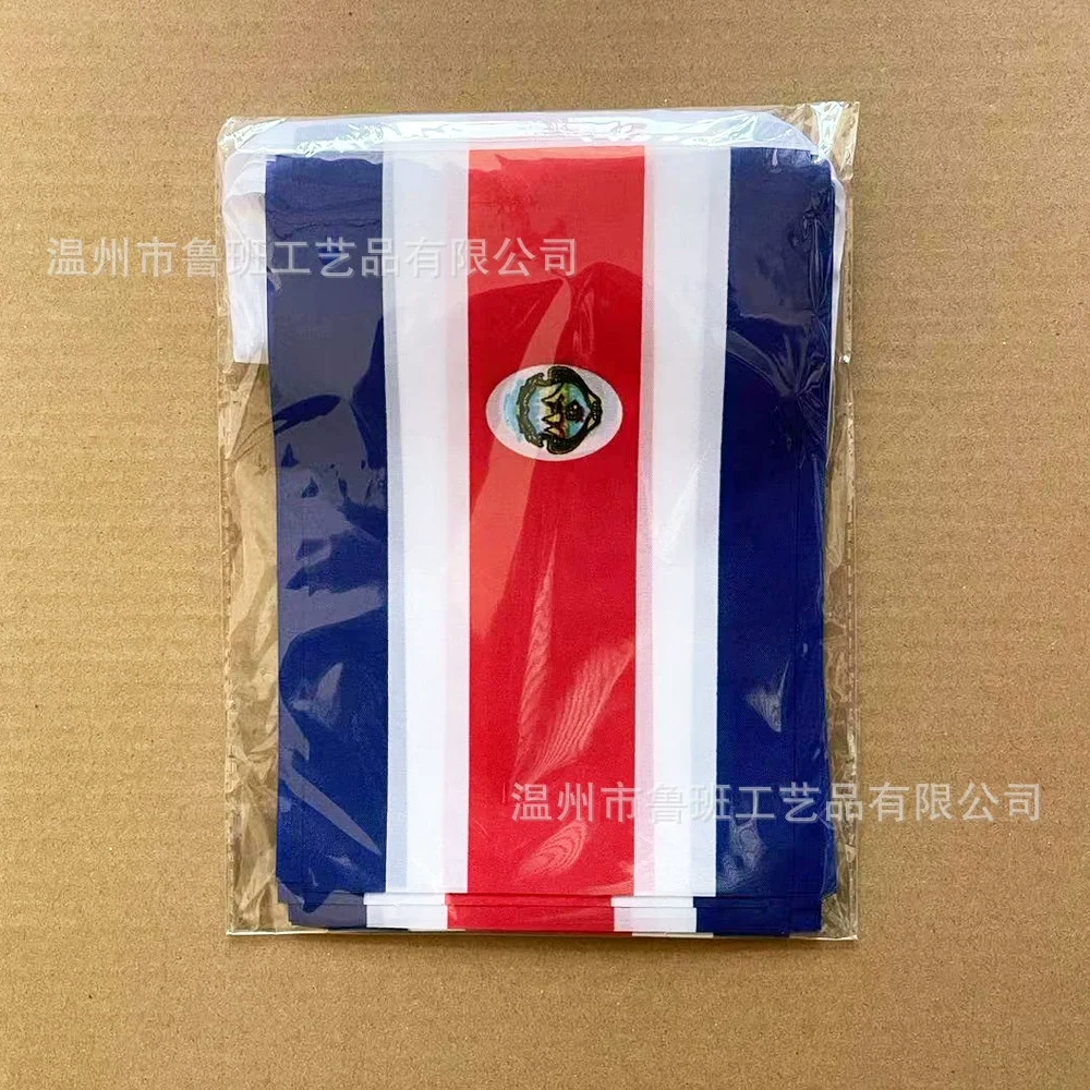 Banderines de Costa Rica con bandera de esquí, 14x21cm, 20 unids/lote, banderas de cuerda de Costa Rica, banderín, pancarta, fiesta, vacaciones para decoración - imagen 2