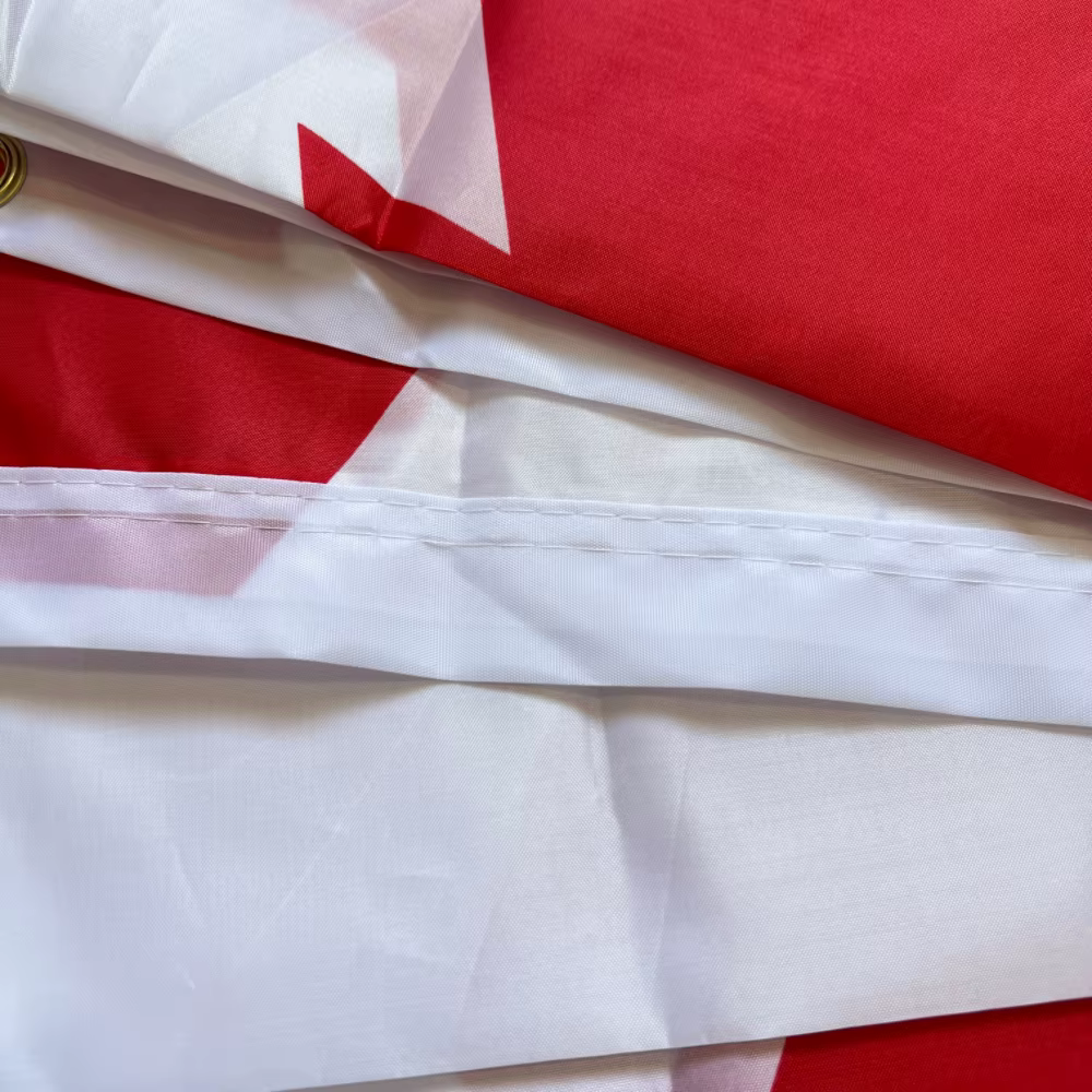 Bandera cruzada Borgoña, 90x150cm, poliéster colgante, estampado de poliéster, bandera cruzada del Imperio español Borgoña, banderas decorativas - imagen 4