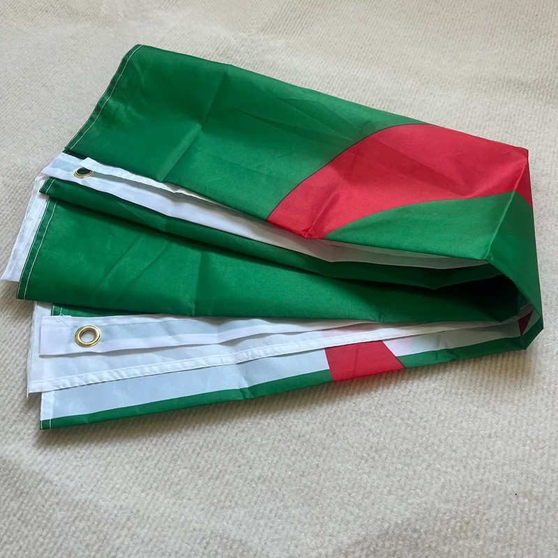 Bandera argelia colgante resistente poliéster exterior - imagen 5
