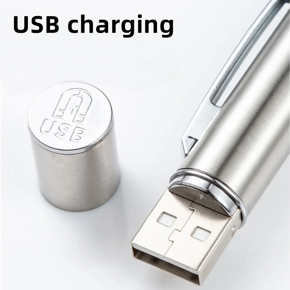 Bolígrafo de luz negra UV de 365nm, linterna con carga USB, mineral de dinero, comida moldeosa, manchas de mascotas, fugas de tiña de gato, marcador de tinta Invisible - imagen 4
