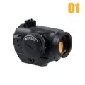 AIMT1