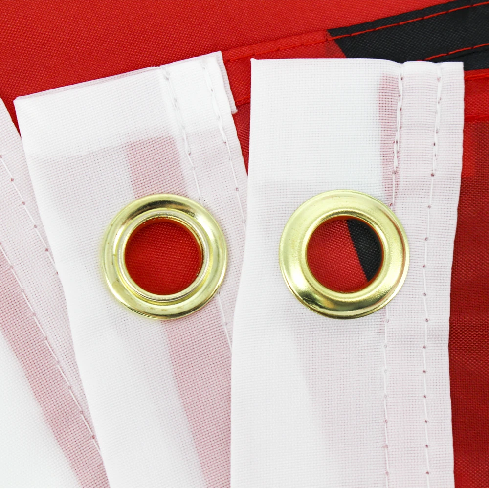 FLAGLINK 90X150 CM Bandera Márquez 93 Para Decoración - imagen 5