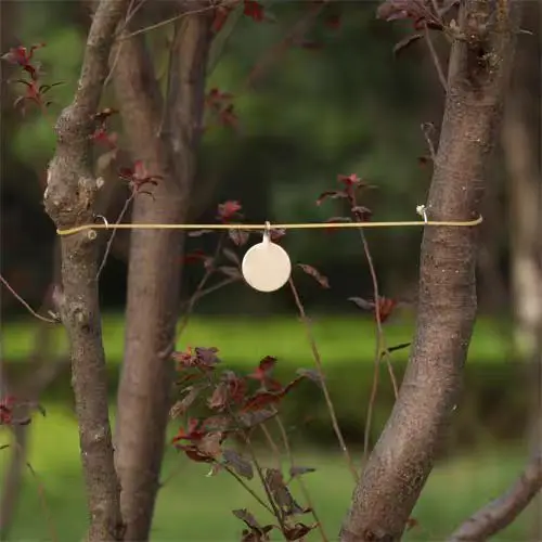 1/2 pieza de 3cm Material de acero inoxidable entrenamiento tiro objetivo tirachinas objetivo Bullseye caza accesorio - imagen 4