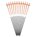 12pcs Orange