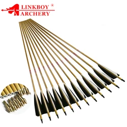 Flechas Sp500 arco compuesto carbono puro y bambú para caza