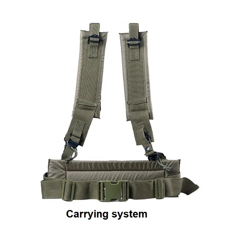 Carrying system