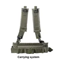 Carrying system
