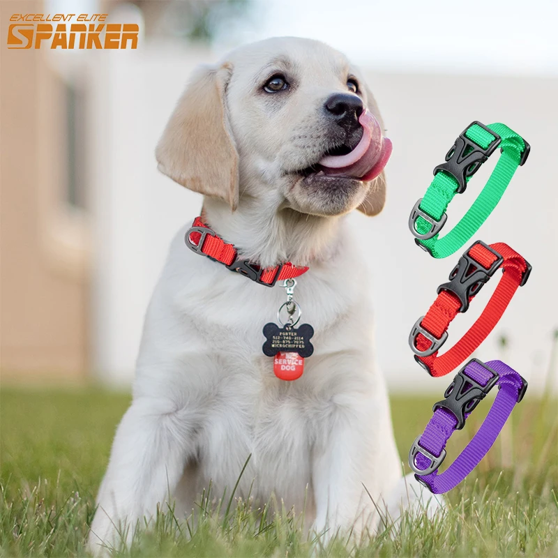 Correa de nailon para caminar para perro, Collar ajustable al aire libre para cachorro y gatito, cuello fuerte y duradero, hebilla de liberación rápida para perros