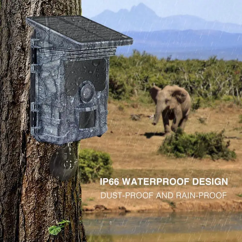 Cámara de caza alimentada por Panel Solar, videocámara de rastreo 4K con WiFi, visión nocturna, impermeable IP66, para juego de vida silvestre, Foto Chasse - imagen 5