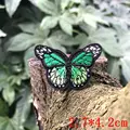 small butterfly6