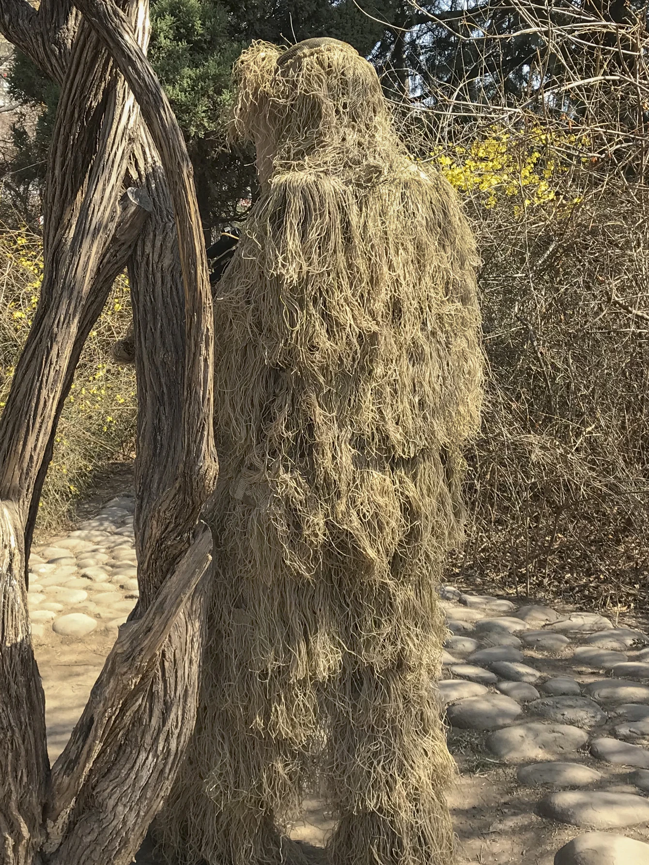 Traje Ghillie de hierba marchita 3D, ropa de camuflaje táctico de francotirador de 4 piezas, traje de caza, ropa de avistamiento - imagen 2